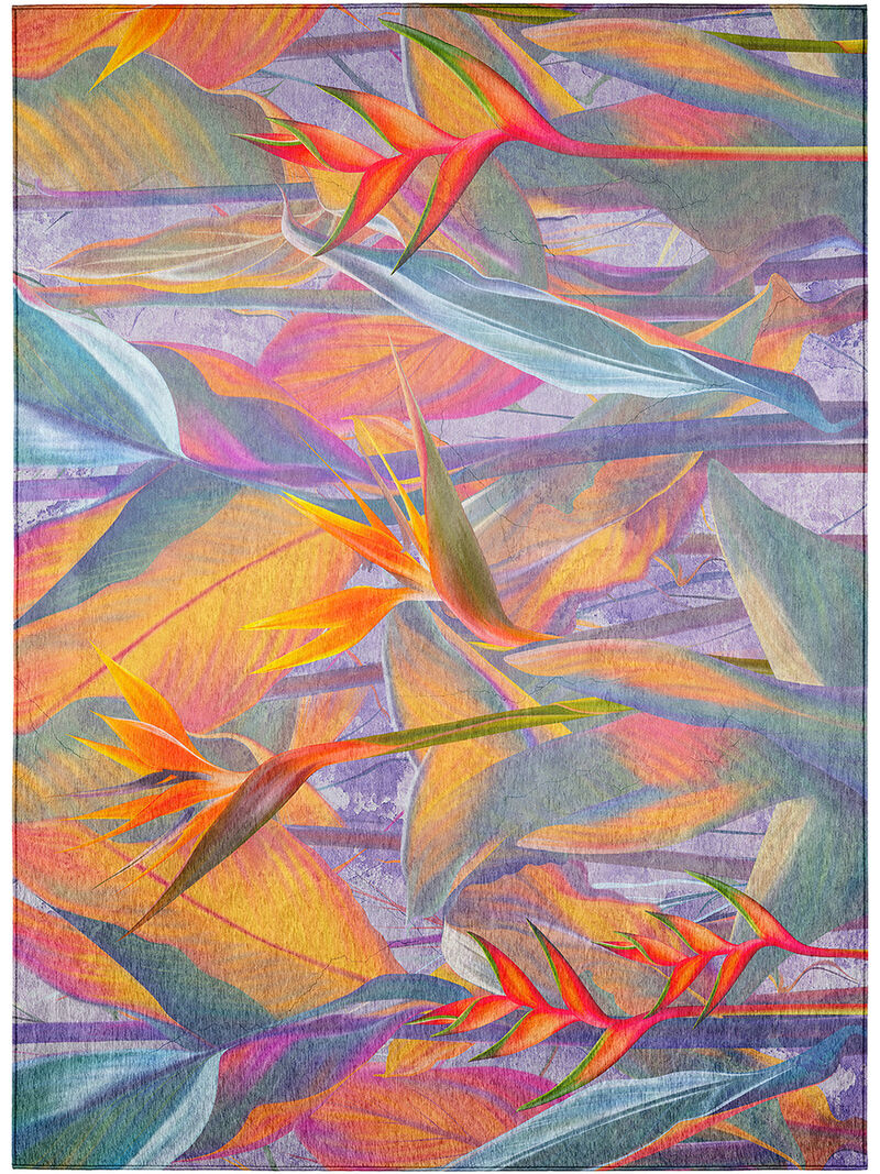 Tropics TC14 Collection