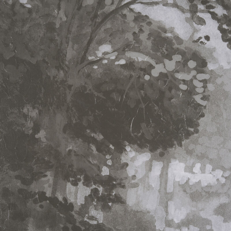 Forest Morning I image number 6