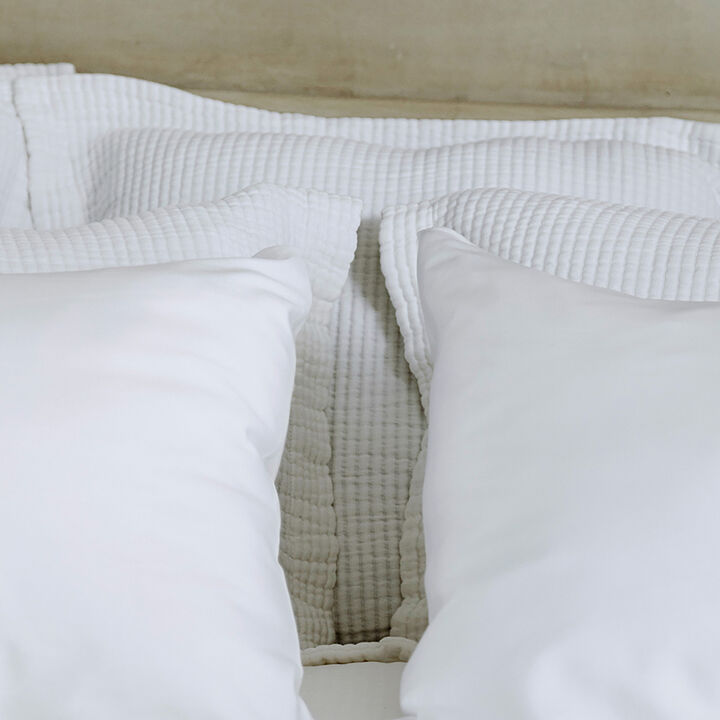 Murmur Euro Sham Organic Cotton
