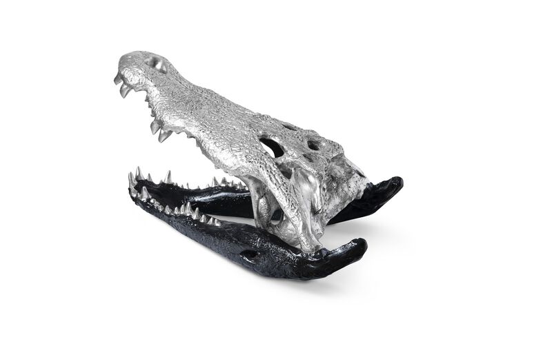 Crocodile Skull