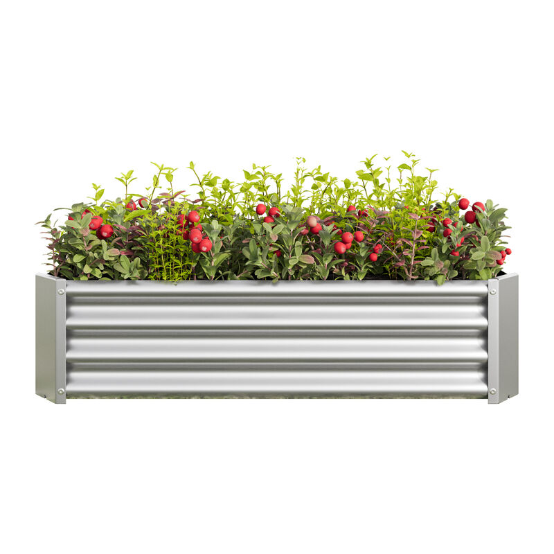 Modern Metal Raised Garden Bed, 4x2ft Planter Box with Weatherproof Finish, Silver