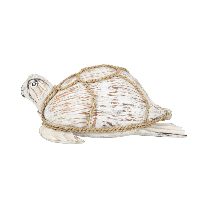 12" Coconut Turtle