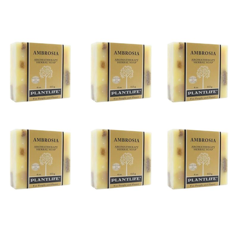 PLANTLIFE BAR SOAP AMBROSIA 6 PACK image number 0