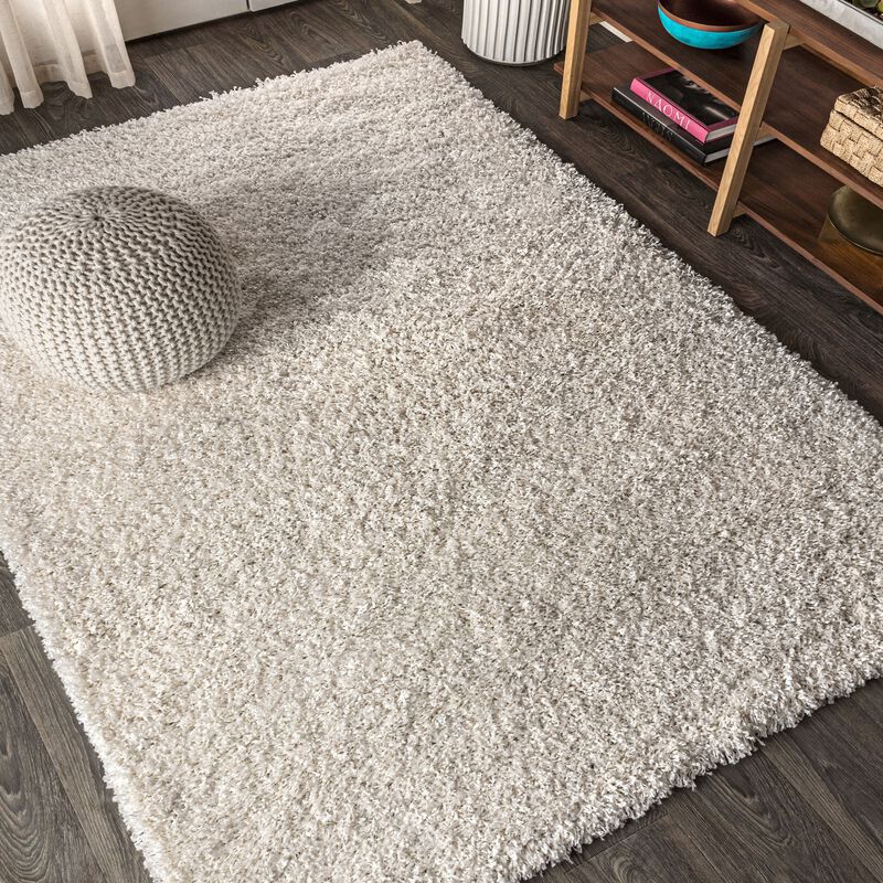 Mercer Shag Plush Area Rug