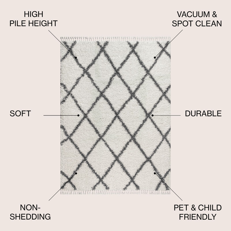 Gabrielle Mercer Shag Plush Tassel Moroccan Geometric Trellis Area Rug