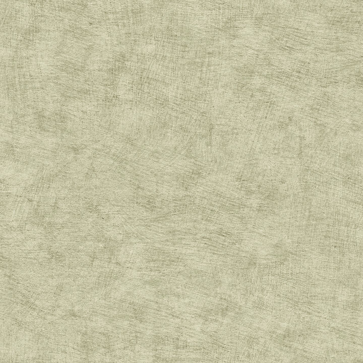 Pampas Plain Brushed Texture Wallpaper