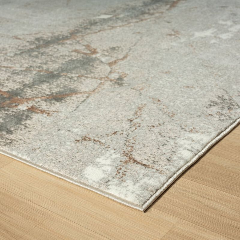 LR Home Antalya Durable Performance Area Rug Indoor