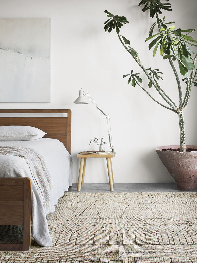 Odyssey OD01 Collection