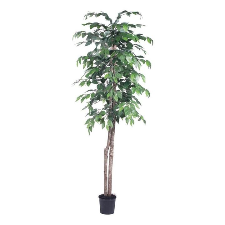 Vickerman TEC0160-07 Everyday Ficus Tree, Green Dark, 6'