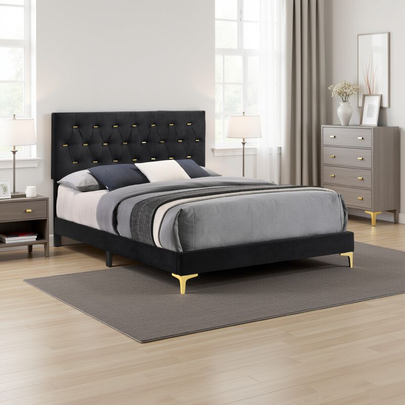 Lif Platform King Size Bed, Panel Tufted Headboard, Gold, Black Velvet