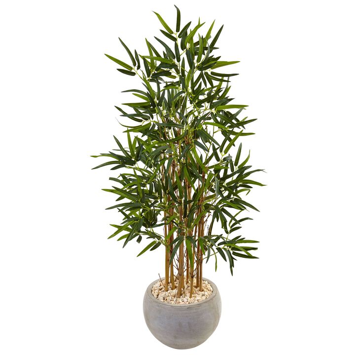 HomPlanti 4 Feet Bamboo Tree in Sand Colored Bowl