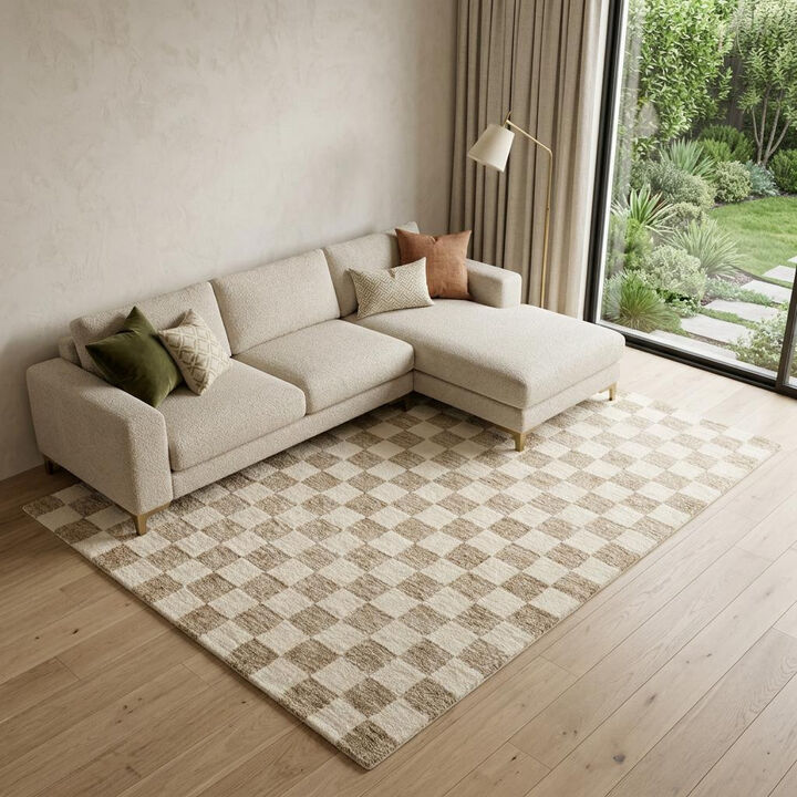 HomeRoots Checkered Power Loom Area Rug