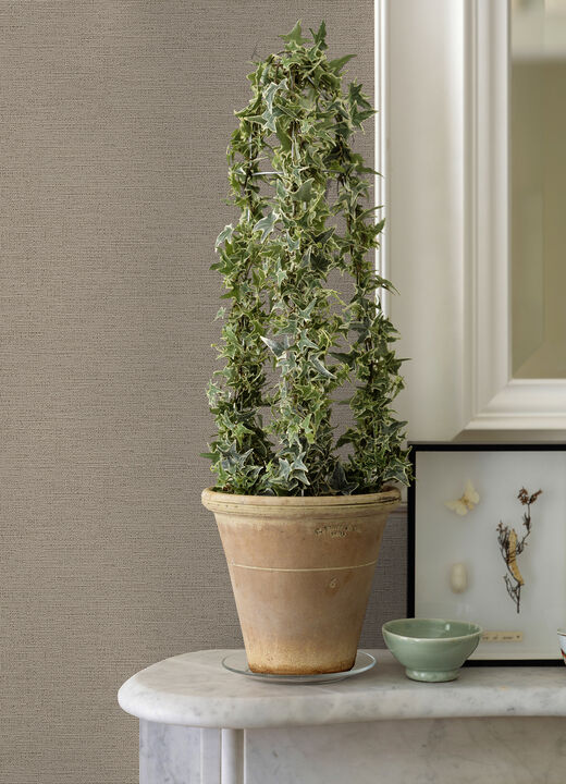 Canseco Beige Distressed Texture Wallpaper