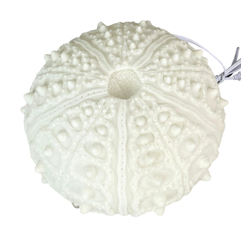 Coastal Sea Urchin Lamp, 12" Resin Sculpture with Warm Glow, Decorative Accent image number 3