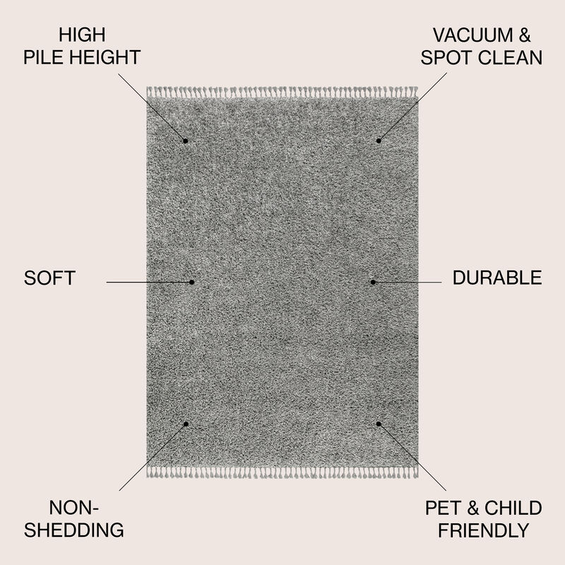 Mercer Shag Plush Tassel Area Rug