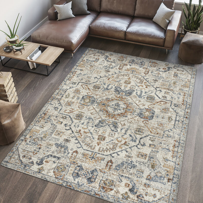 Shaemus Bohemian Medallion Low-Pile Machine-Washable Area Rug