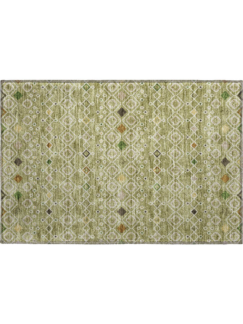 Neo NO12 Sage 20" x 30" Rug