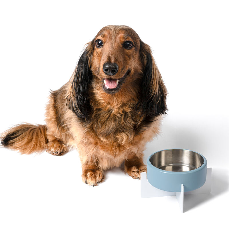 Intersecta Concrete and Stainless Steel Bowl 16oz (2 Cups) with Metal Stand Pet Feeder image number 4