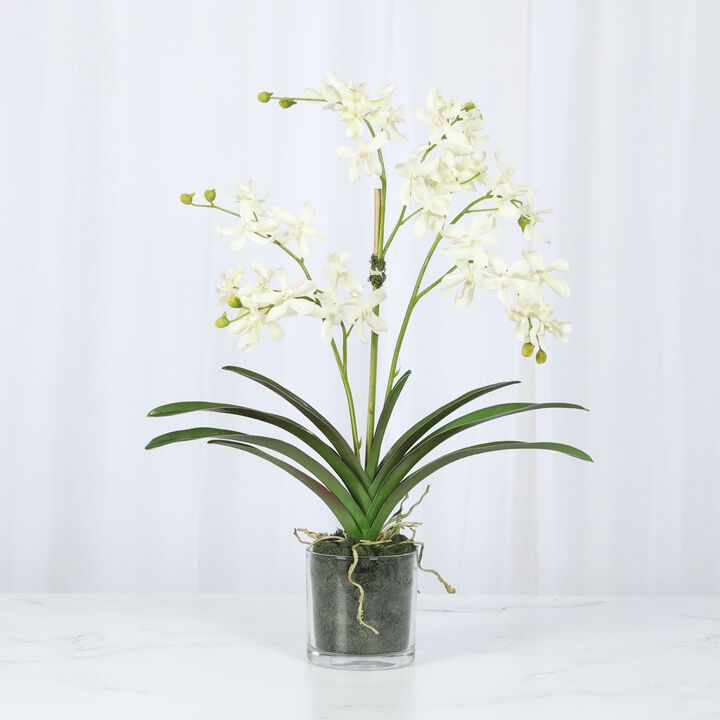 Orchid Arrangement in Vase - 24"