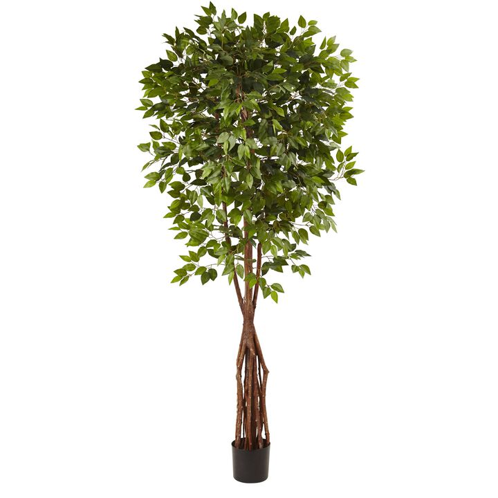 Hivvago 7.5 Feet Super Deluxe Ficus Tree