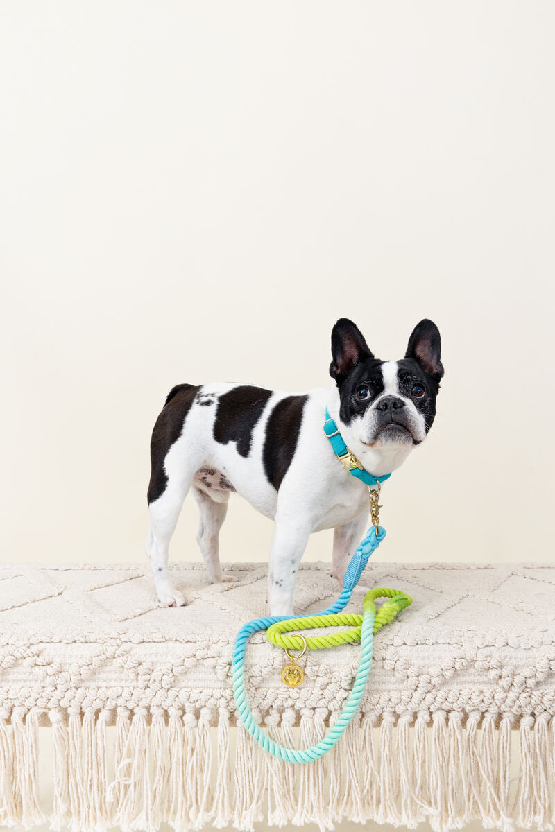 Alexandria Rope Dog Leash image number 2