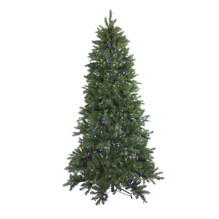 6.5' Pre-Lit Medium Neola Fraser Fir Artificial Christmas Tree - Dual LED Lights