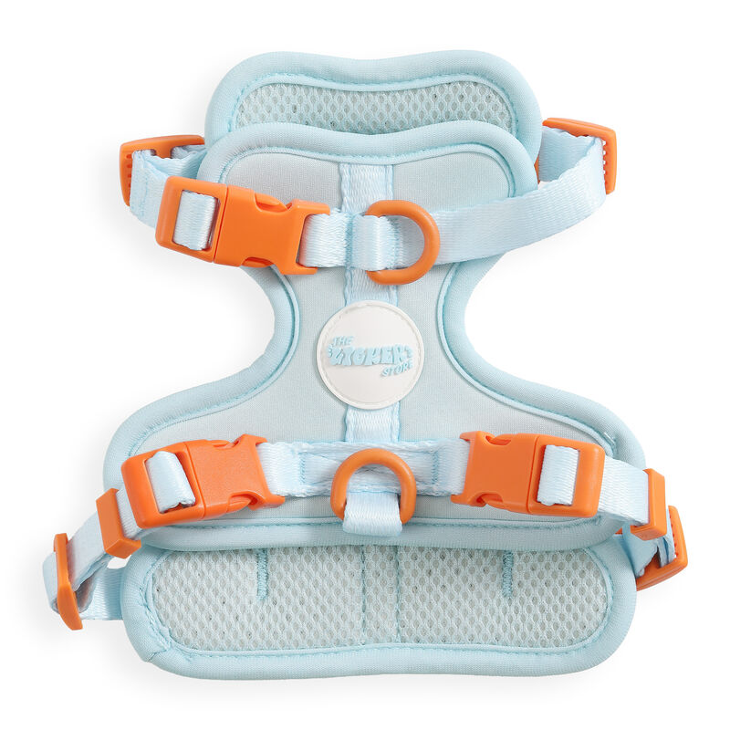 Arlo Adjustable Soft Padded No Pull Pet Harness with 3 Buckles and 3 Leash Clips