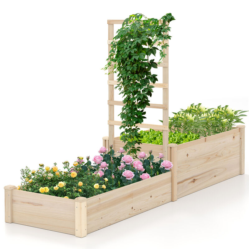 Raised Garden Bed with Trellis and 2 Elevated Planter Boxes for Vertical Gardening and Efficient Space Use