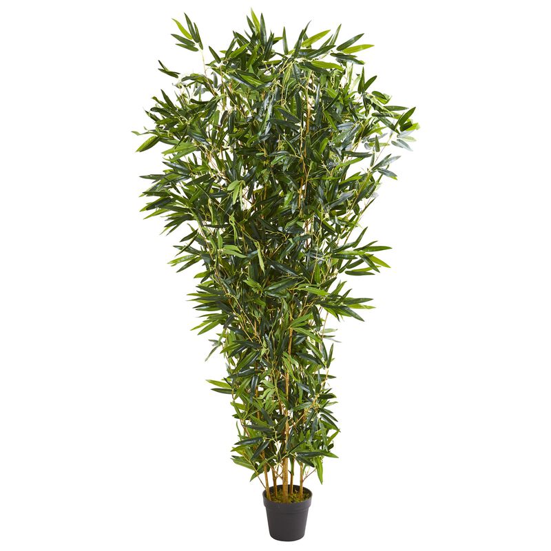 HomPlanti 6 Feet Bamboo Artificial Tree (Real Touch) UV Resistant (Indoor/Outdoor)