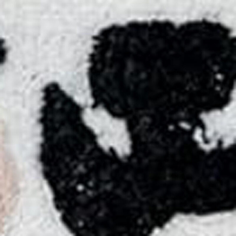 HomeRoots Kitty Cat Youthful Washable Area Rug image number 2
