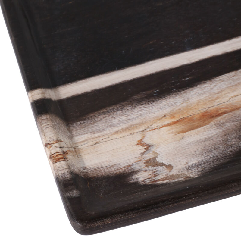 16x8" Petrified Wood Tray image number 4