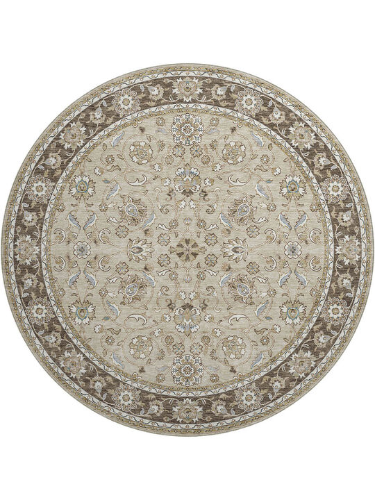 Hatay HY1 Beige 8' Rug