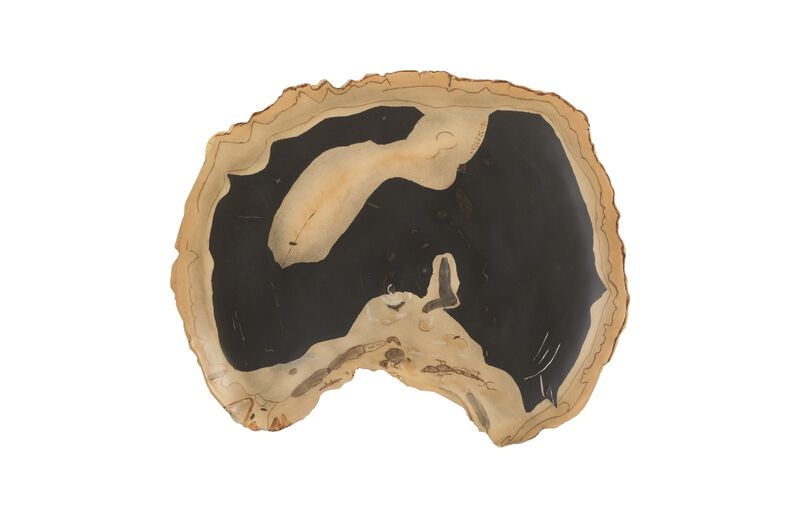 Cast Petrified Wood Thin Wall Tile