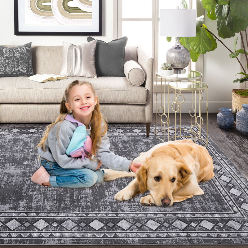 8X10 FT Washable Area Rugs Rugs for Living Room Bordered Rug Geometric Solid Rug Clearance Non Slip image number 4