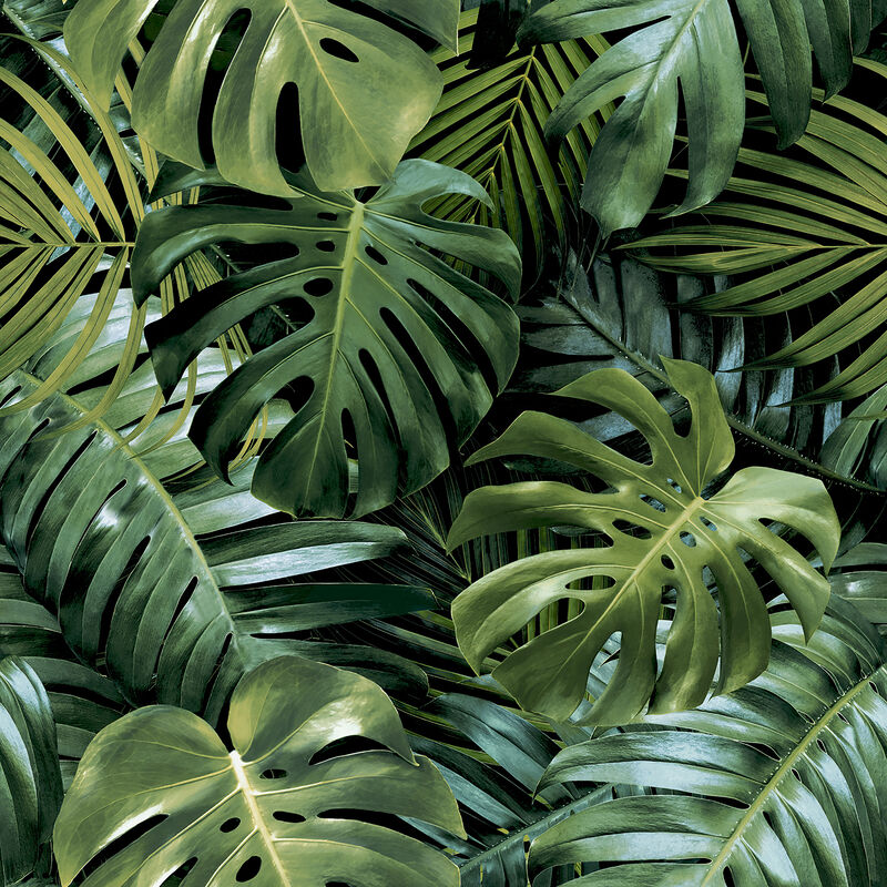 Harlynn Green Monstera Wallpaper image number 0