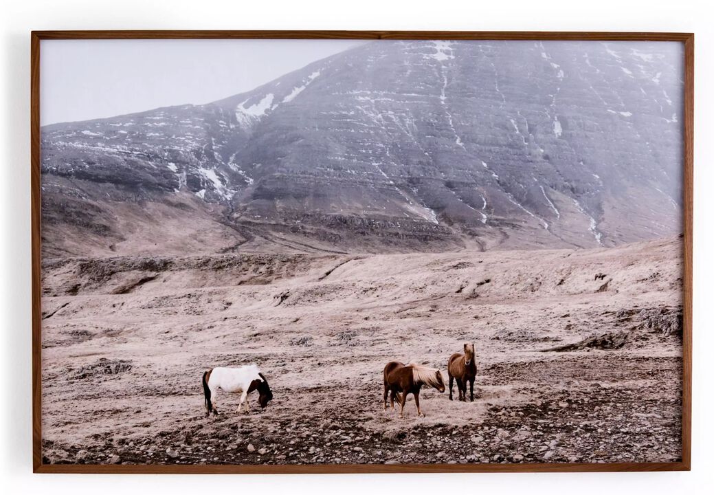 Wild Horses