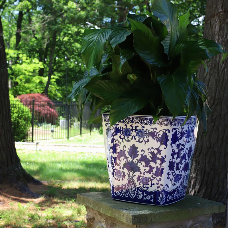 Blue and White 10" Camelia Garden Planter