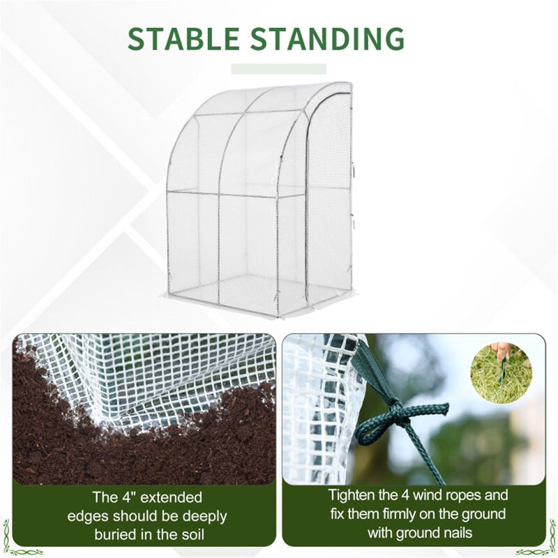 Mini Walk-in Greenhouse with Shelves for Seed Starting and Plant Care image number 2