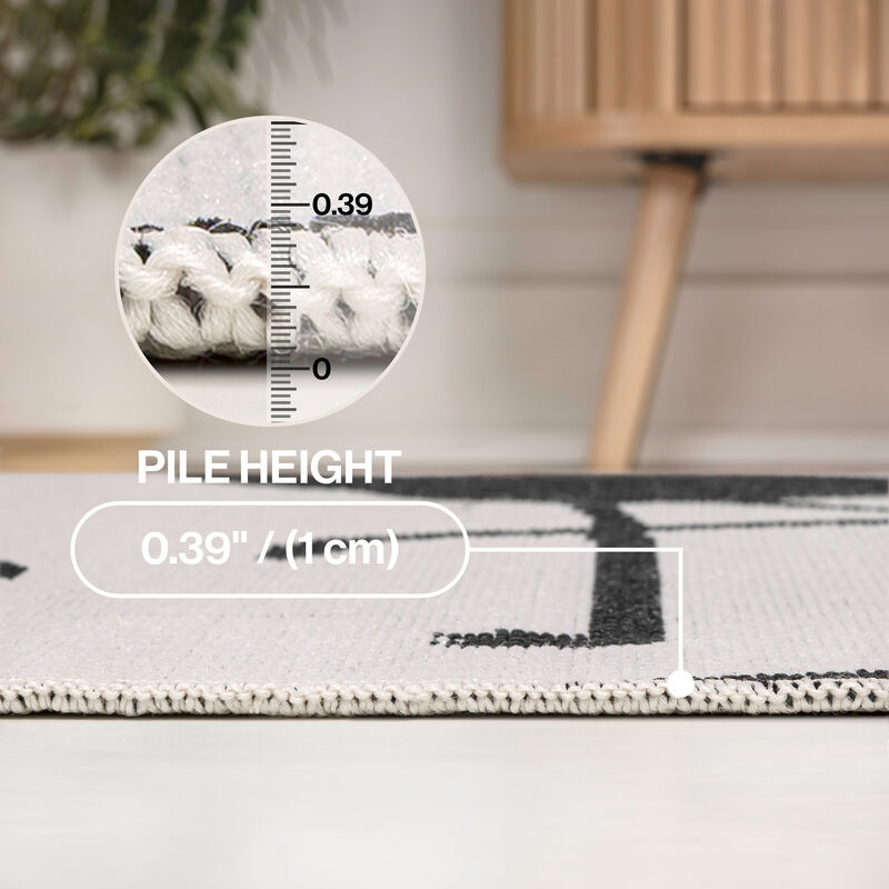 Liana Casual Coastal Flamingos Two-Tone Indoor/Outdoor Area Rug