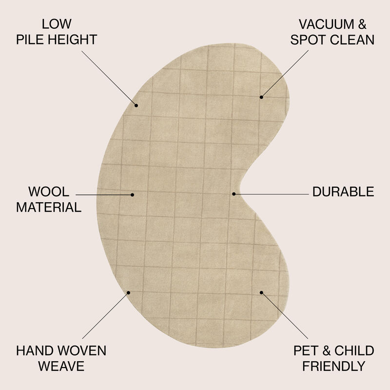 Bean Modern Plaid Grid Handwoven Wool Beige/Light Brown Area Rug