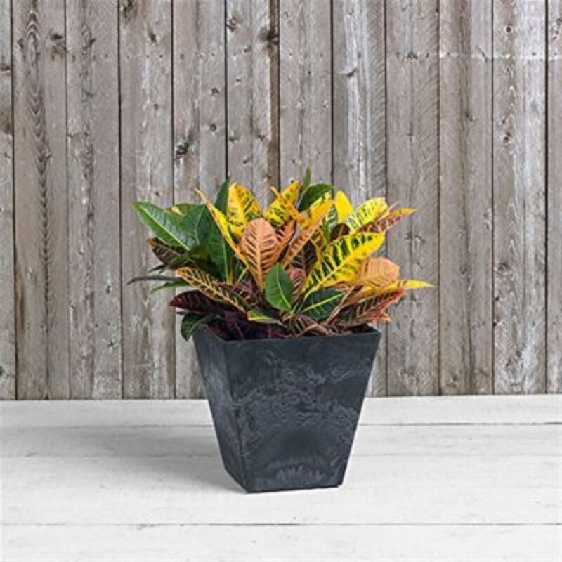 QuikFurn Contemporary 12-inch Square Planter in Black Plastic