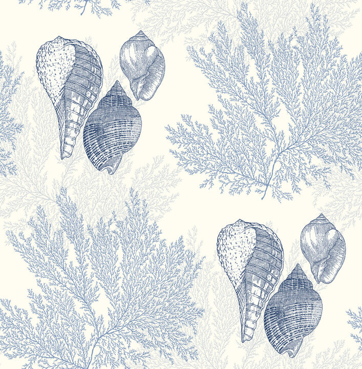 Nauset Blue Seashell Shores Wallpaper