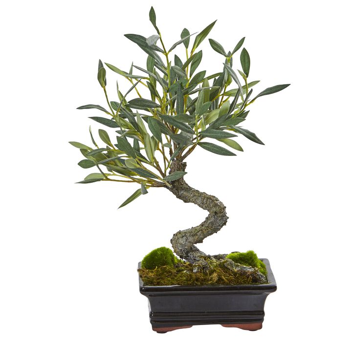 Hivvago 13 Inches Mini Olive Artificial Bonsai Tree