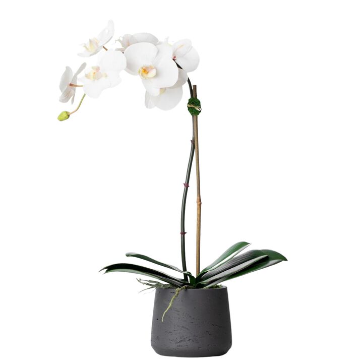 Artificial Orchid Plant - White Orchid In White Pot - 21"