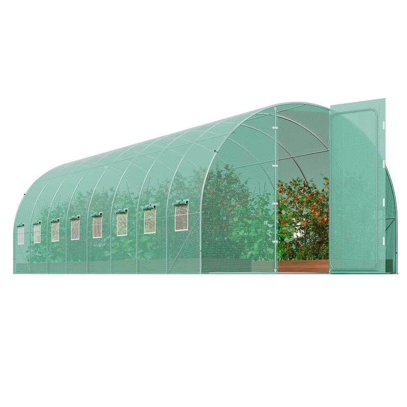 Galvanized Frame Walk-In Greenhouse with All-Weather PE Cover for Plants and Seedlings