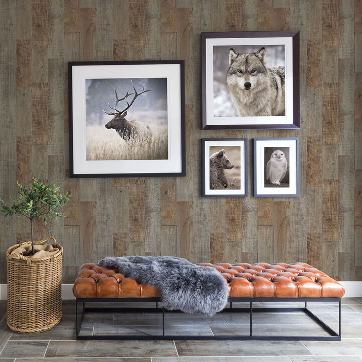 Chebacco Brown Wooden Planks Wallpaper (Set of 2)