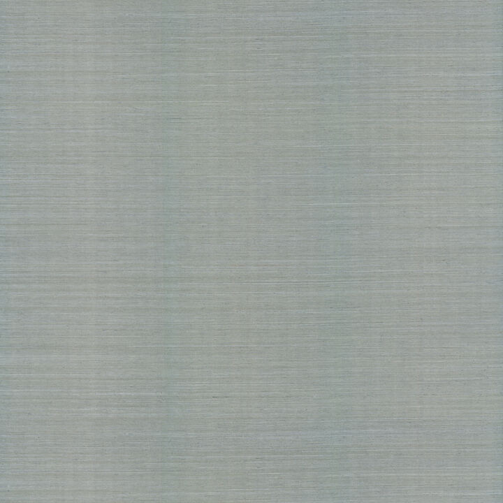 Natural Sisal Slate Peel & Stick Grasscloth Wallpaper (Set of 2)