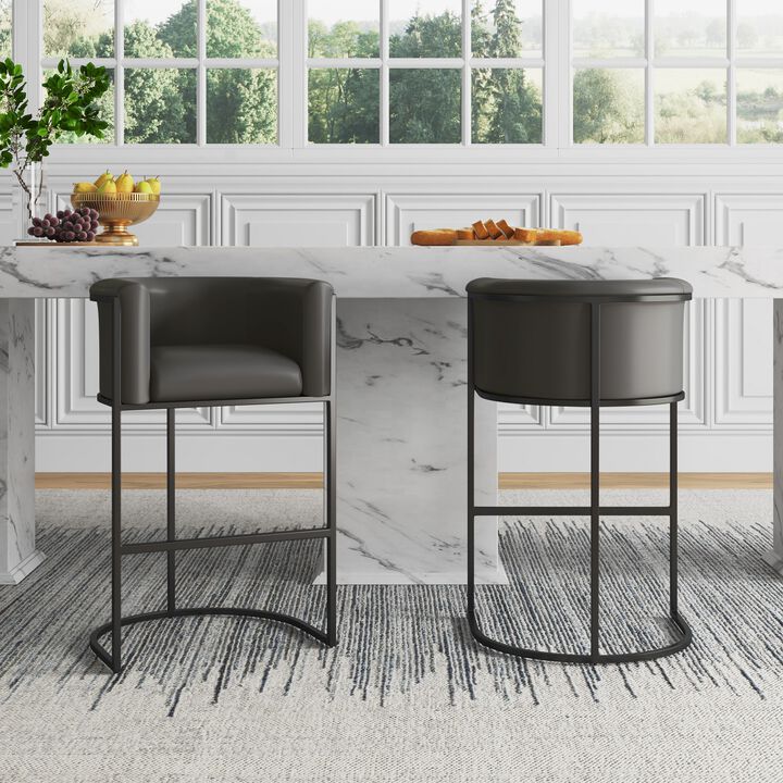 Cosmopolitan Gray Counter Stools (Set of 2)