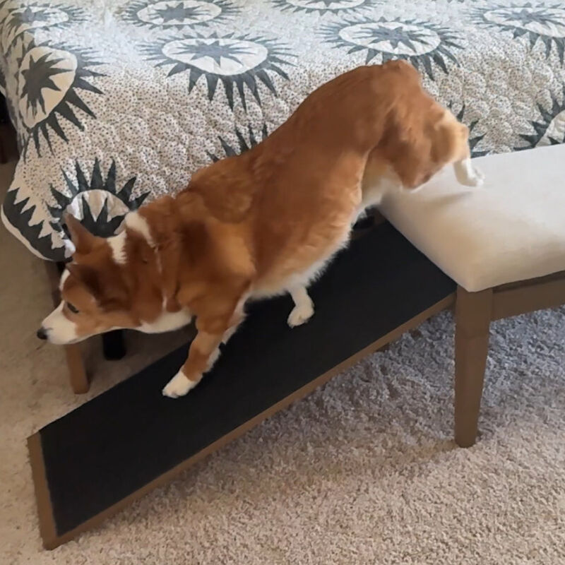 Wagsby&trade; Pet Ramp Bench - Harvest Oatmeal image number 5