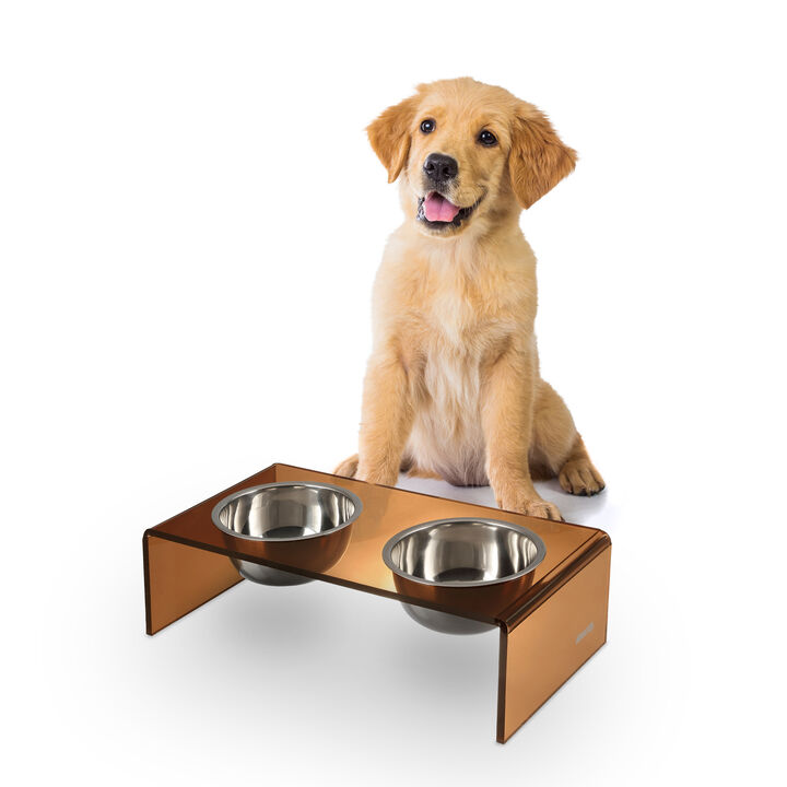 Keaton Modern Acrylic Rectangular Elevated Pet Feeder with Stainless Steel Bowls